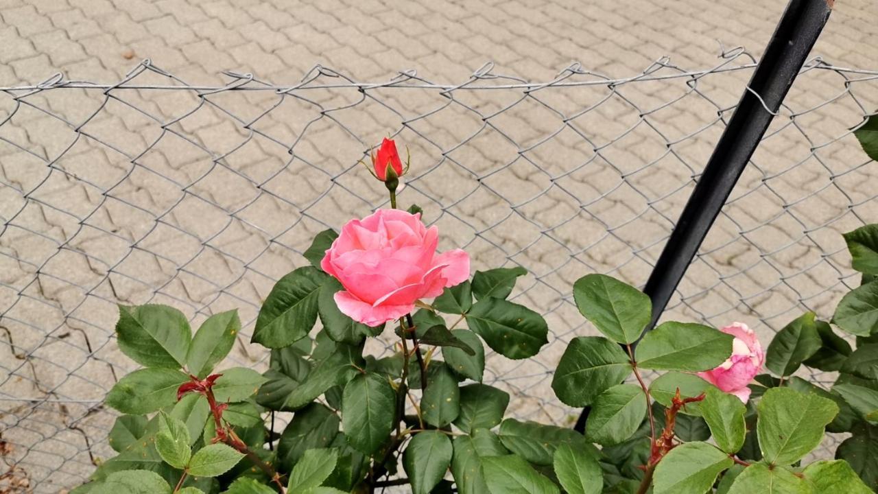 Hotel Pensione Serena Purasca Dış mekan fotoğraf